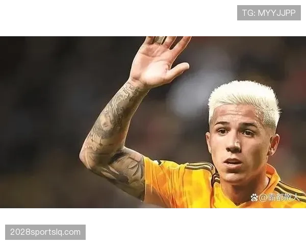 恩佐·费尔南德斯如何从阿根廷新星成长为世界杯冠军中场？