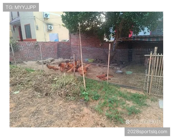 落地支撑手是否构成犯规？细解规则边界与判罚逻辑